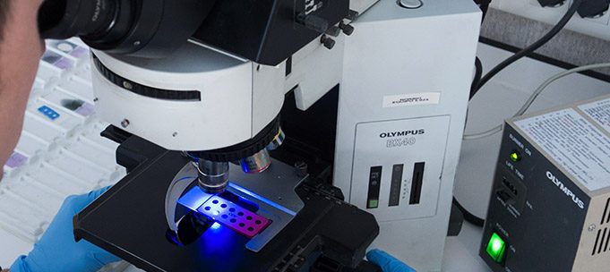 Microscopio en el laboratorio de Norbio