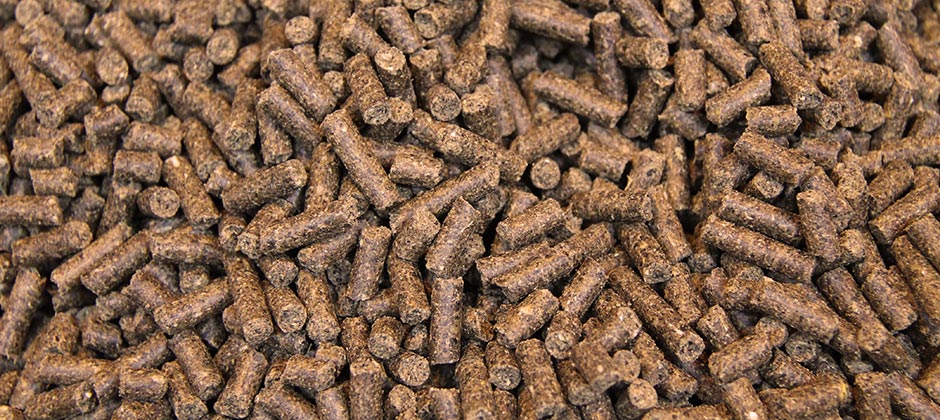Piensos para alimentación animal